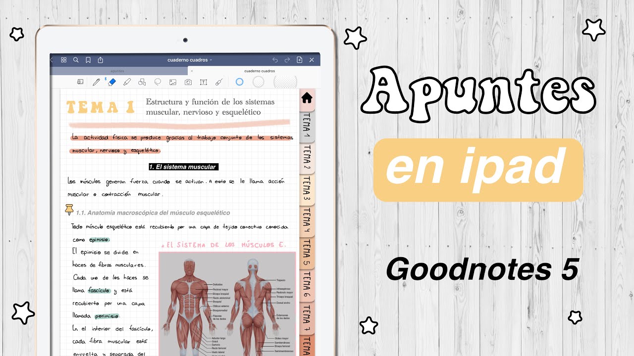 ✍🏼 GoodNotes 5 Tutorial: Cómo tomar apuntes en el iPad con GoodNotes | HardPeach
