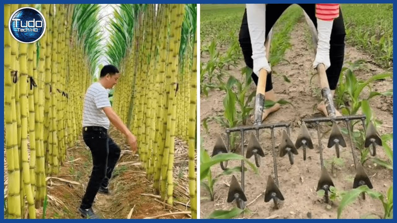 Incr&iacute;veis M&aacute;quinas e Ferramentas Agr&iacute;colas mais satisfat&oacute;rias que est&atilde;o em outro n&iacute;vel. Agricultura