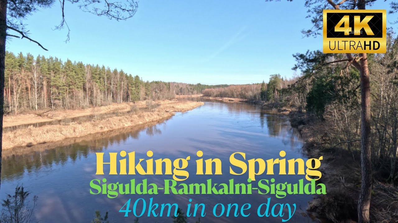 Hiking in Latvia (Gauja National park) Sigulda - Ramkalni March 2025 4k