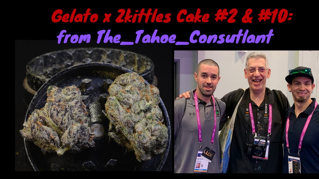 Gelato x Zkittles Cake #10 & 2