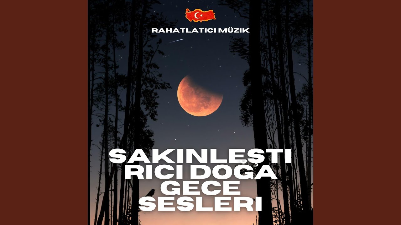 Gece Sesi
