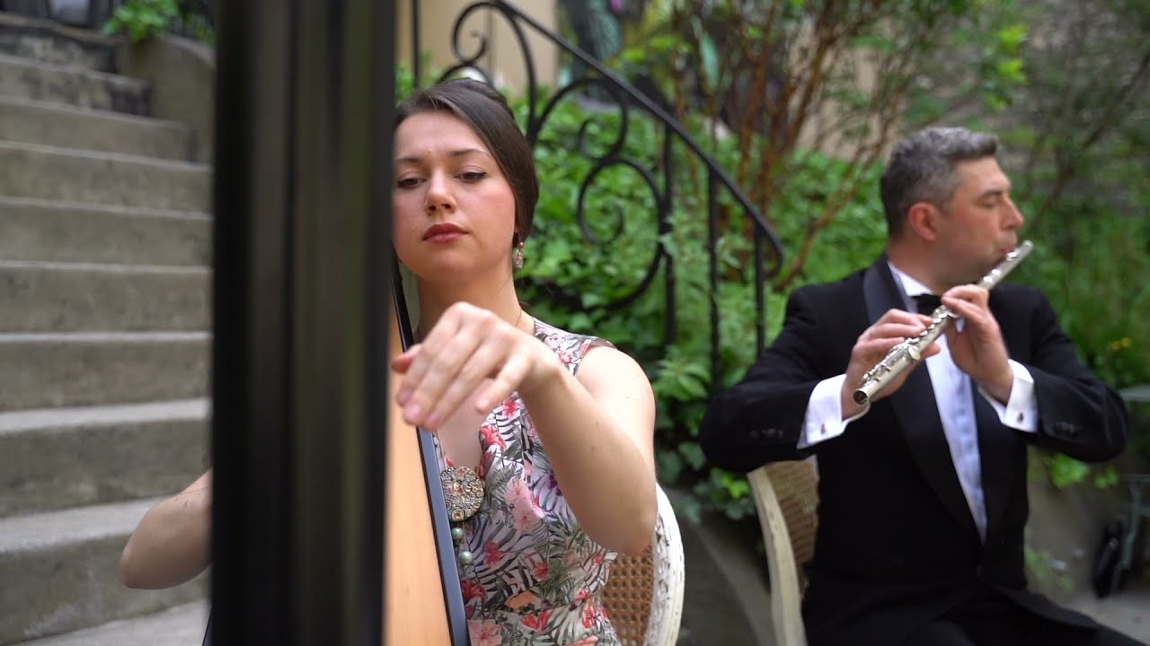 Beauty and the Beast - harp and flute cover - Duo Nikolayev