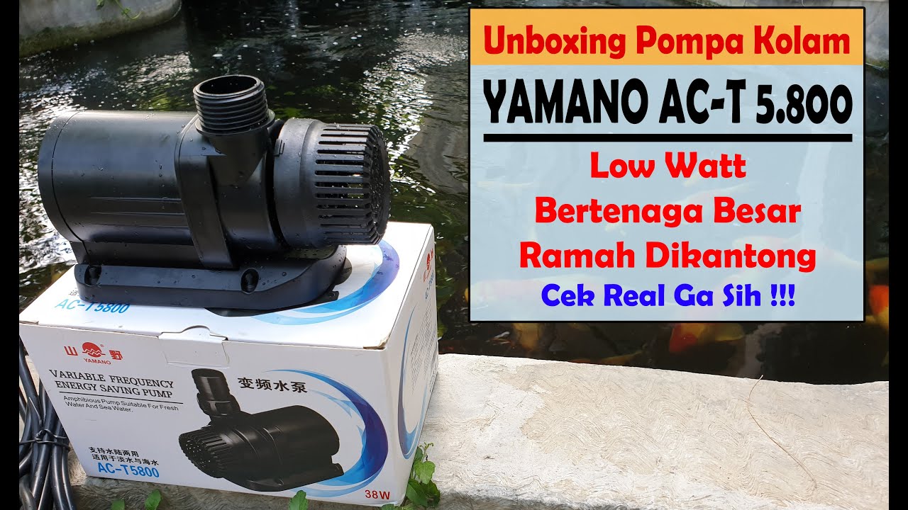 🔴 Review Pompa Kolam YAMANO AC-T 5800 Hemat Energi Bertenaga Besar