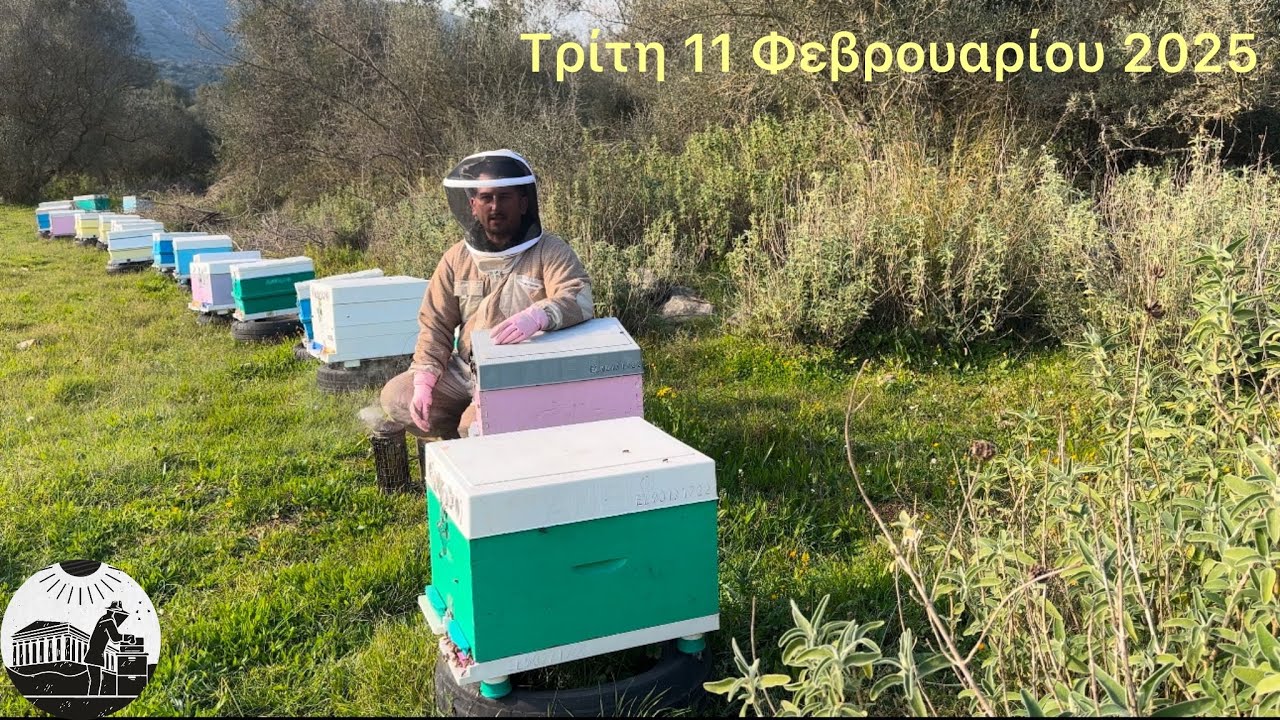 Διαβάζοντας τα μελίσσια μου. Τρίτη 11 Φεβρουαρίου 2025