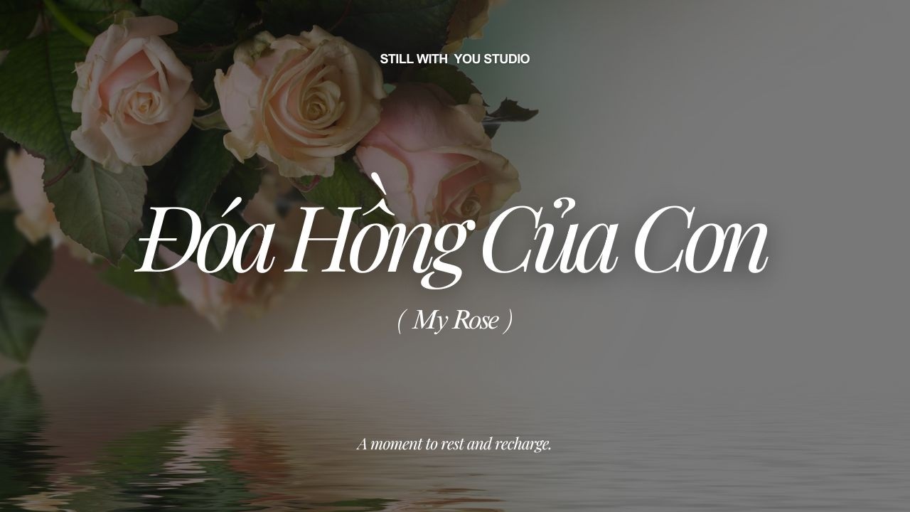 Đóa Hồng Của Con (My Rose) - Version No. 9