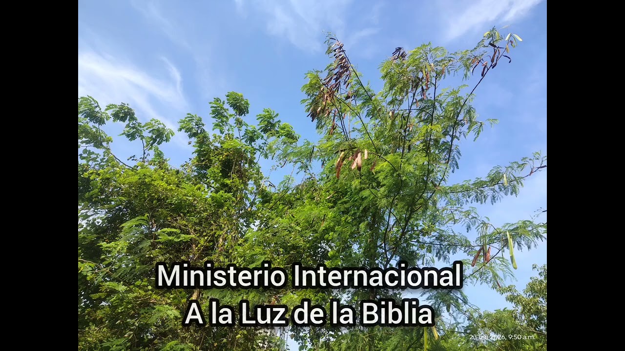 Granos nuevos 