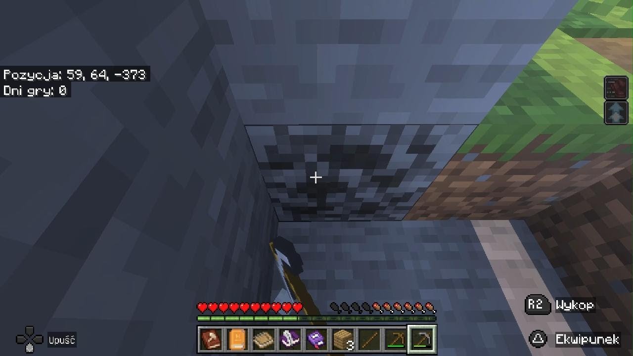 Minecraft survival dragon