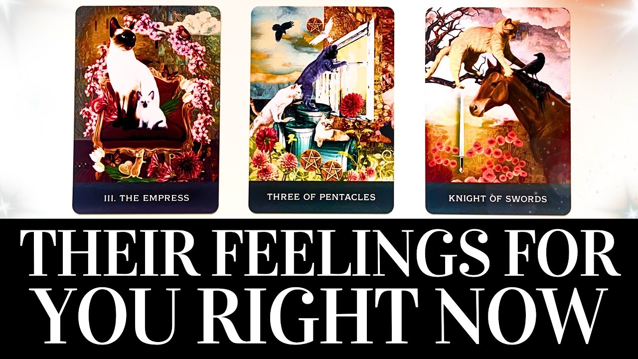 PICK A CARD💓😍 Their TRUE FEELINGS For You RIGHT NOW! 😍💓 They want you to know THIS! 🌟 Tarot Reading
