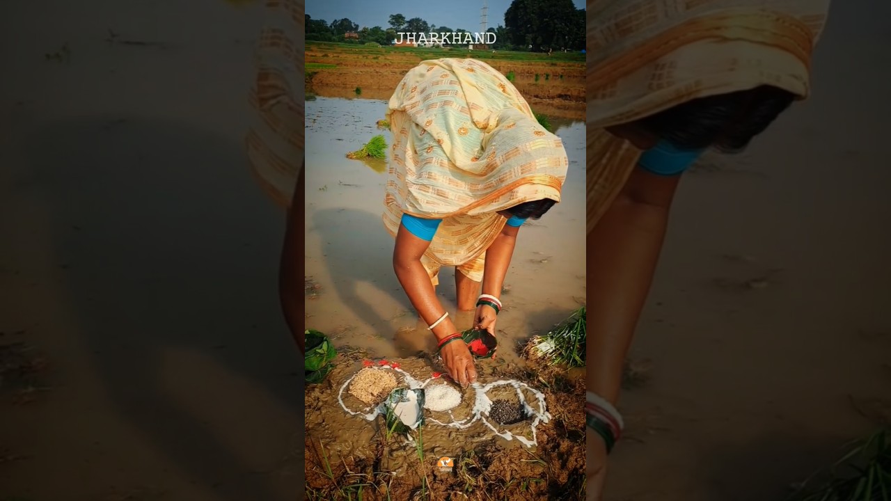 Cropping Season in Jharkhand | Jharkhand's Rich Heritage and Culture #jharkhand #tradition #culture