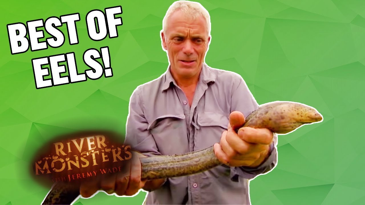 The Best of EELS! | COMPILATION | River Monsters