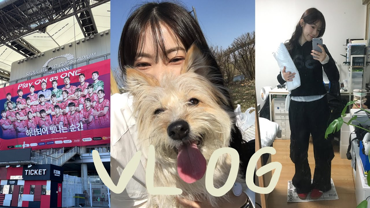 VLOG. 벚꽃의 꽃말은 중간고사（ ¯꒳¯̥̥ ）| 동이랑 한강 | 축구장 알바 | 랩실가고 스카가고 | 숙성회 입문 | 환절기 스킨케어 추천 | 대학생 자취 브이로그