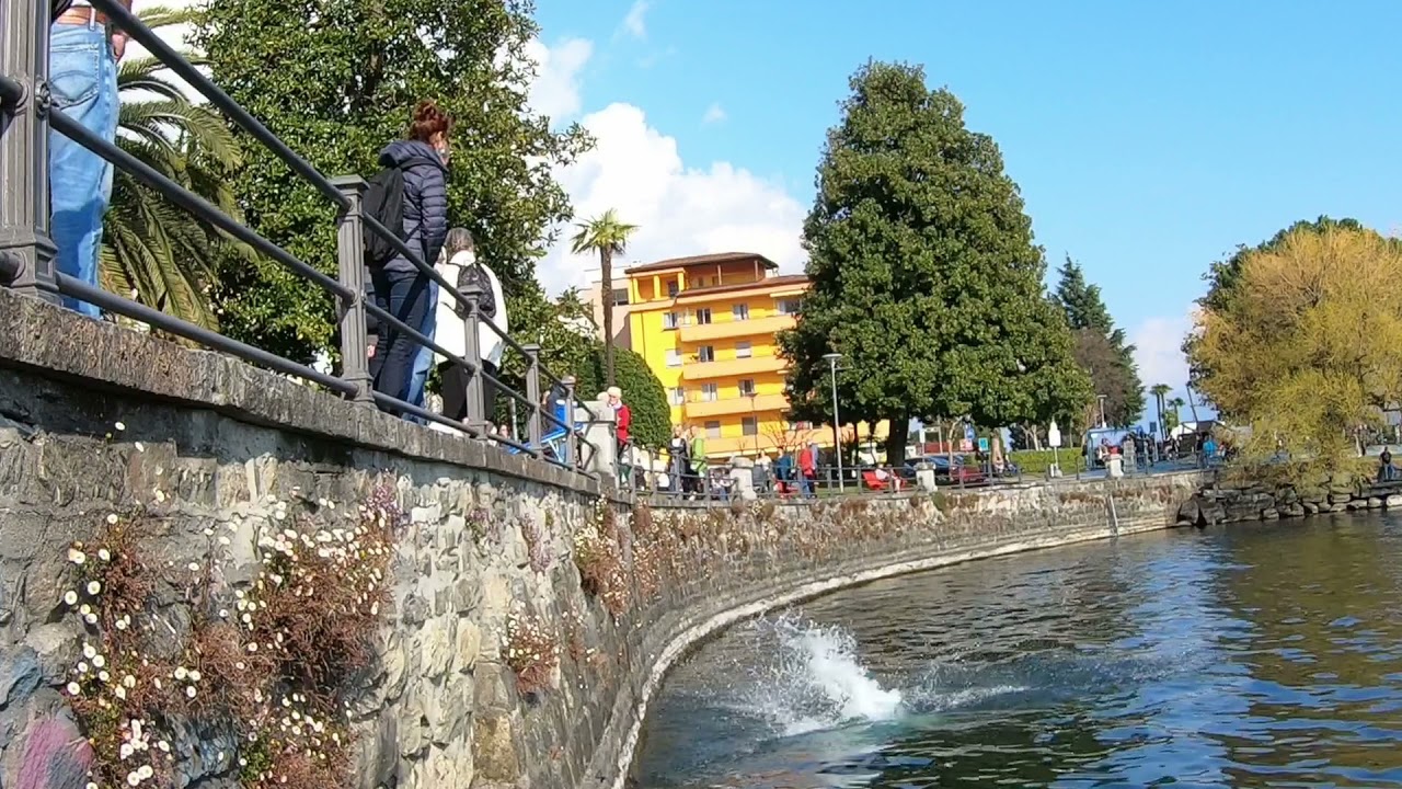 TRIPLE AT THE LAKE - SHORT TRAMPDIVING EDIT