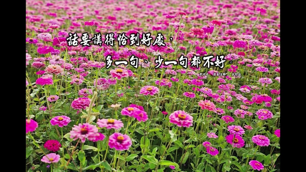 證嚴上人靜思語《一句剛剛好》