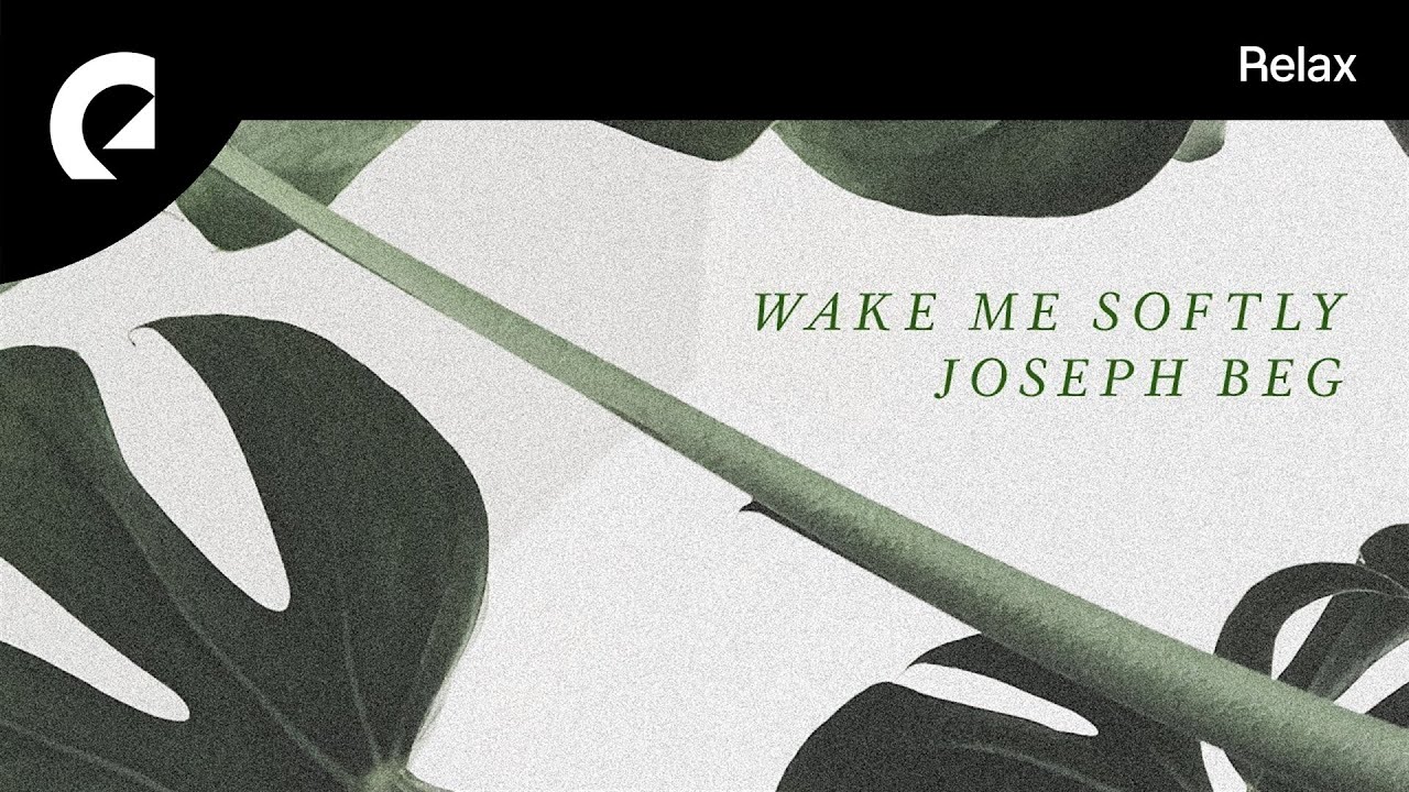 Joseph Beg - Genetic Waves