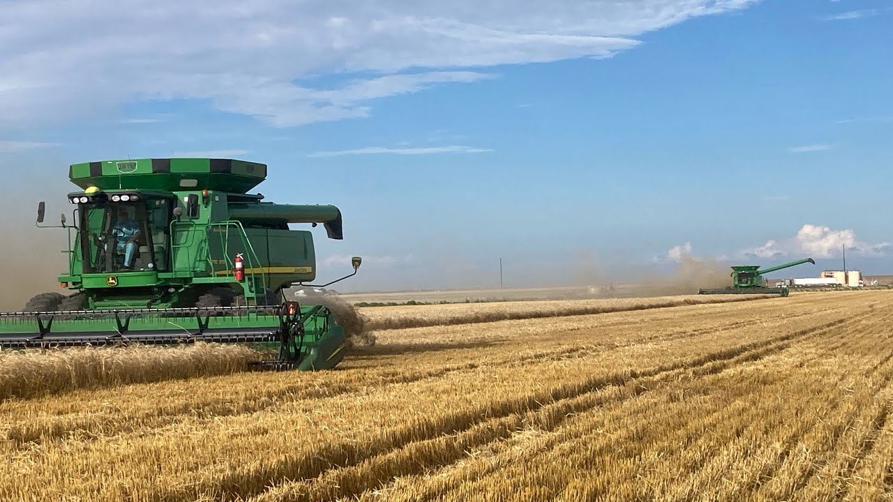 100 Bushel Wheat With Two Combines! | Wheat Harvest 2024
