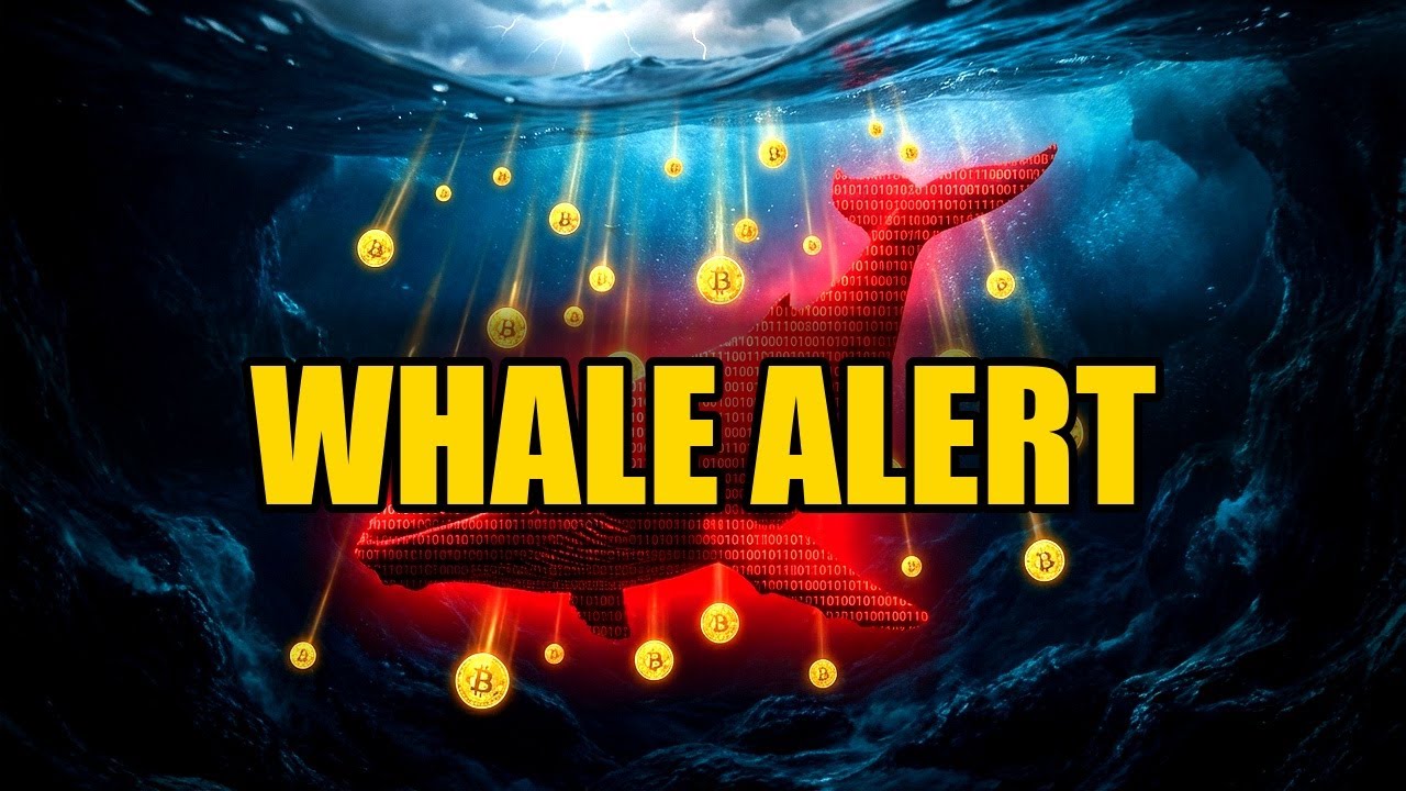 Bitcoin Whales Dumping&mdash;Is the Crash Coming?
