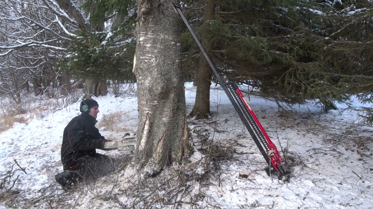 Tonttipuita / Farmi kaadonsuuntaaja