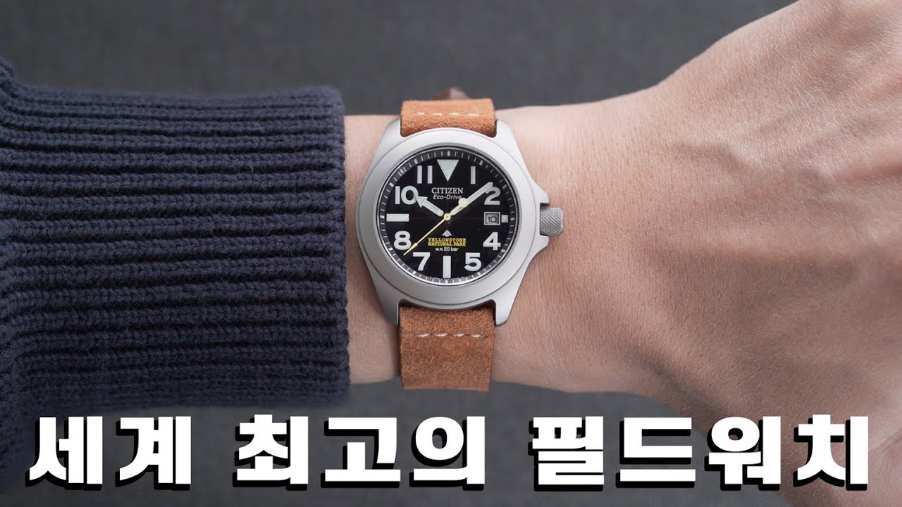 변심하기엔 늦었어, 시티즌 프로마스터 터프.