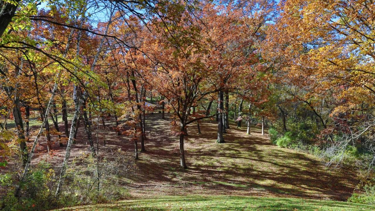 Caponi Art Park Oct 2016