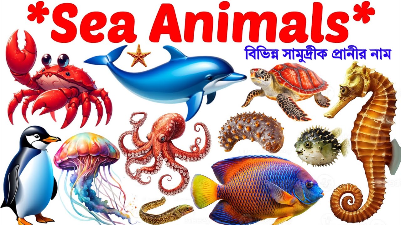Sea Animals Name🐠🦈 | Sea Animals for Kids | Sea Animals Name Bengali to English | Animals Name