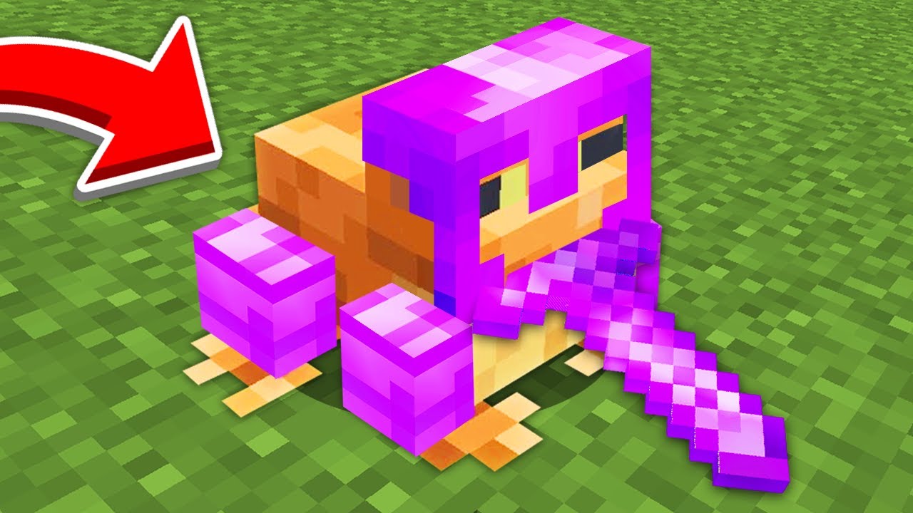 Minecraft, But Frogs Beat the game for you...