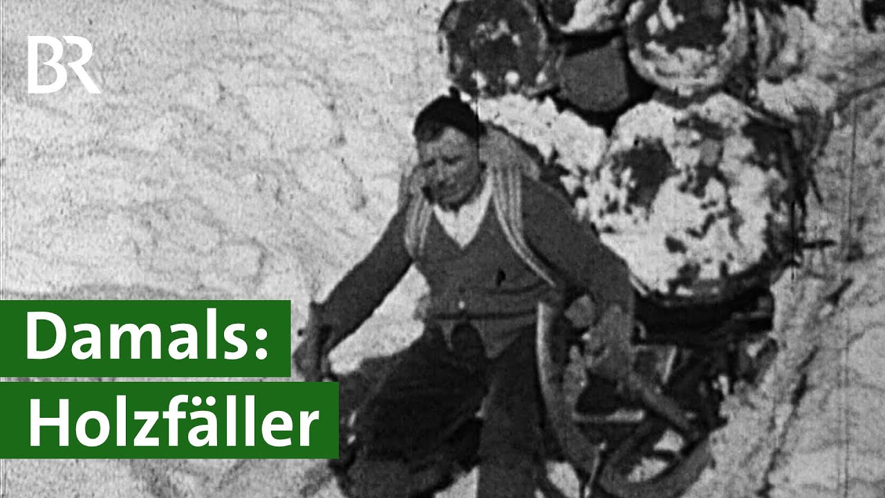 Bäume fällen im Wald: Früher eine körperlich anstrengende und gefährliche Arbeit | Unser Land | BR