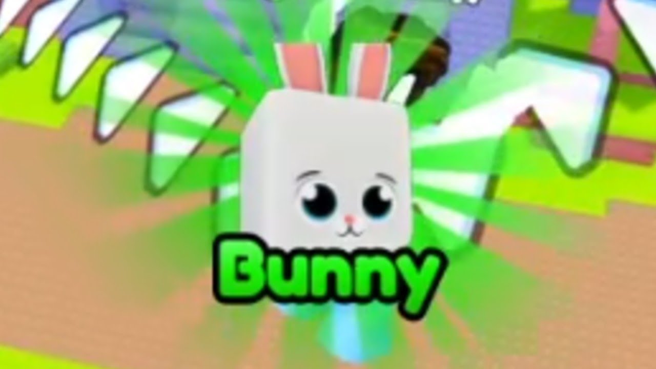 Find the Pets - Where to Find the Bunny (Roblox)
