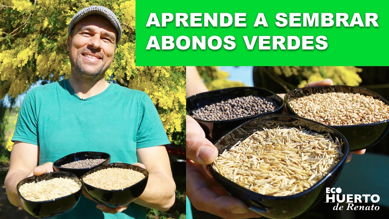 APRENDE A SEMBRAR ABONOS VERDES