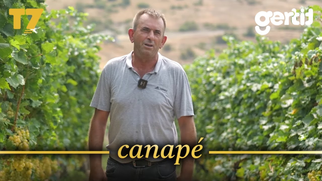 Vreshtat e familjes Hajda në Rahovec do të ju magjepsin, punë e madhe | Canapé | T7