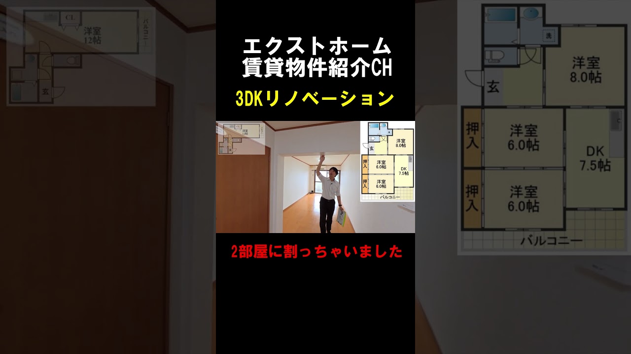 【賃貸ルームツアー】3DKを分けた結果がスゴすぎた！