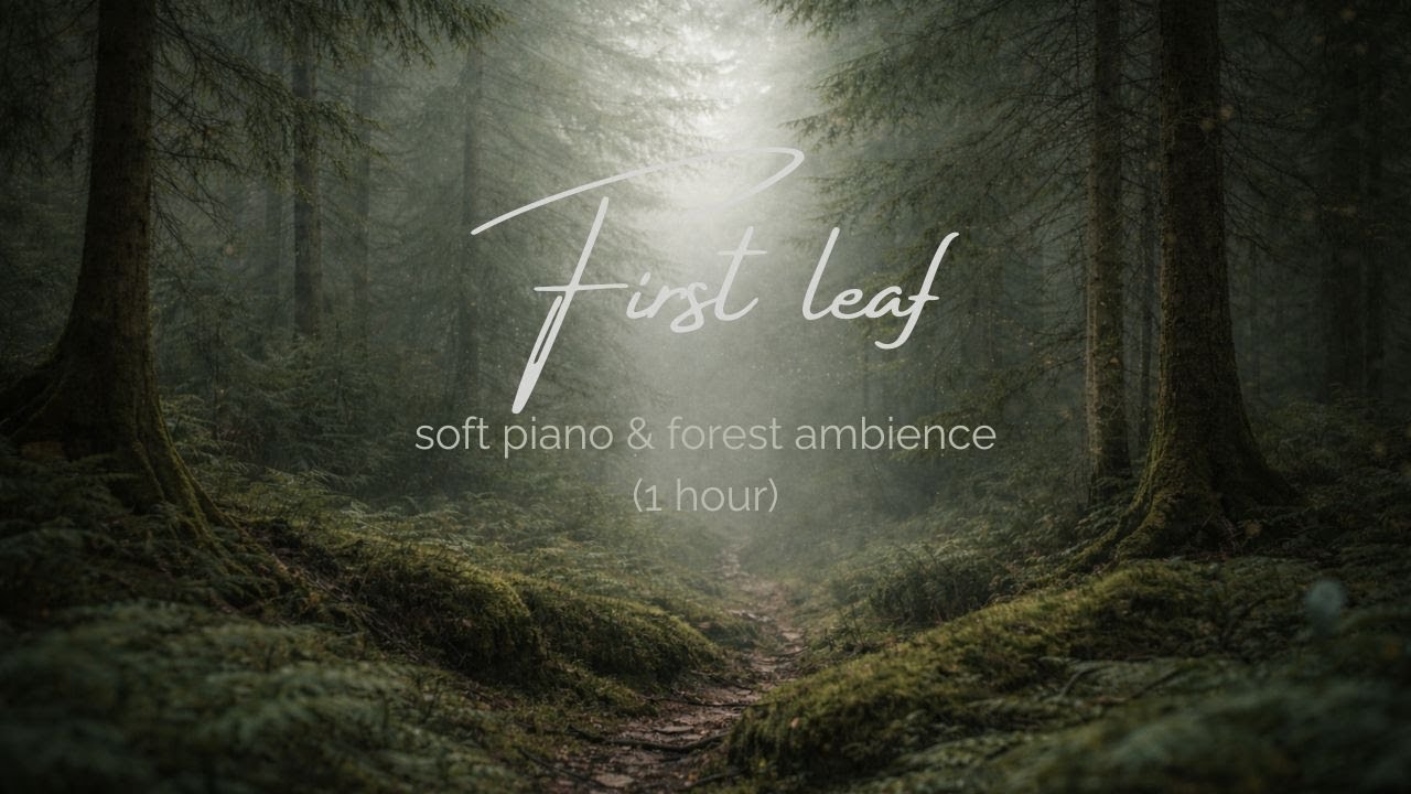 First Leaf – 1 Hour Ambient Soundscape