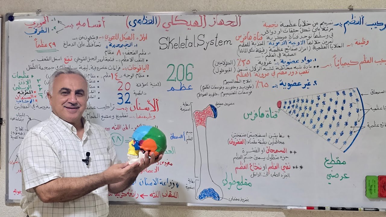الجهاز الهيكلي/العظمي _ الفصل الثاني الأحياء الثالث المتوسط المحاضرة 1