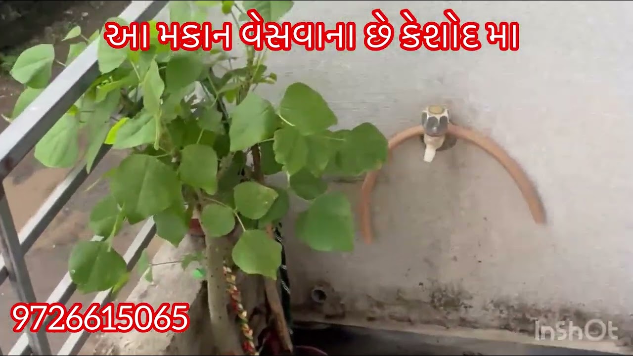 આ મકાન વેસવાના છે #keshod #realestate #valad #home #rajkot #agriculture #gondal #amdavad #mubai #