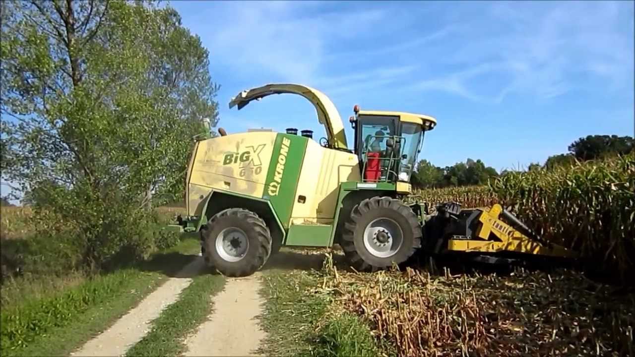 SILIRANJE KORUZNIH STORŽEV (Kmetija Cigüt)