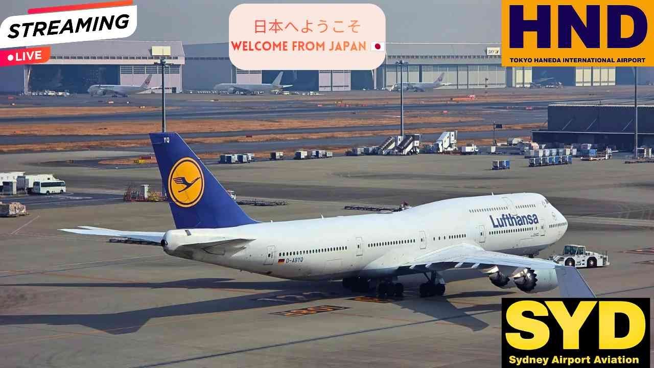 🔴 LIVE Tokyo Haneda Airport Sunset & Night Heavy Action 🇯🇵 | Aviation Stream | HND/RJTT 2026