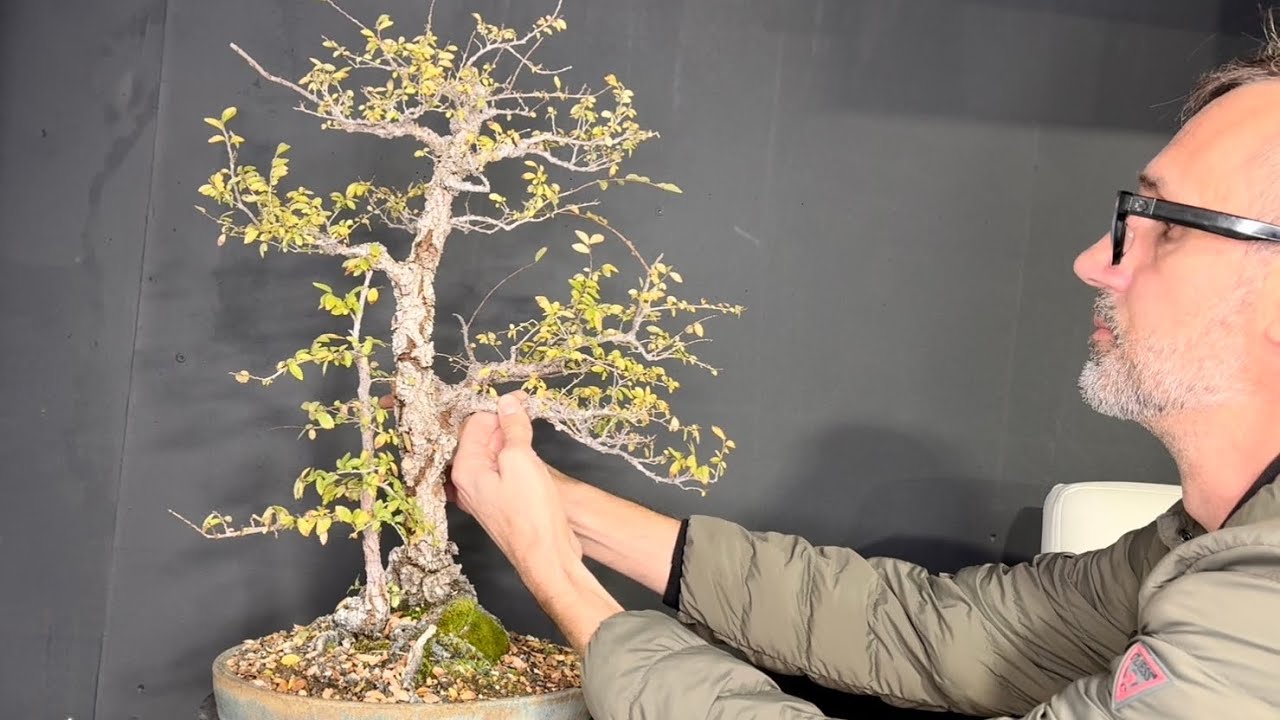 SE 9 EP2 Bonsai Wiring Can Make a Difference