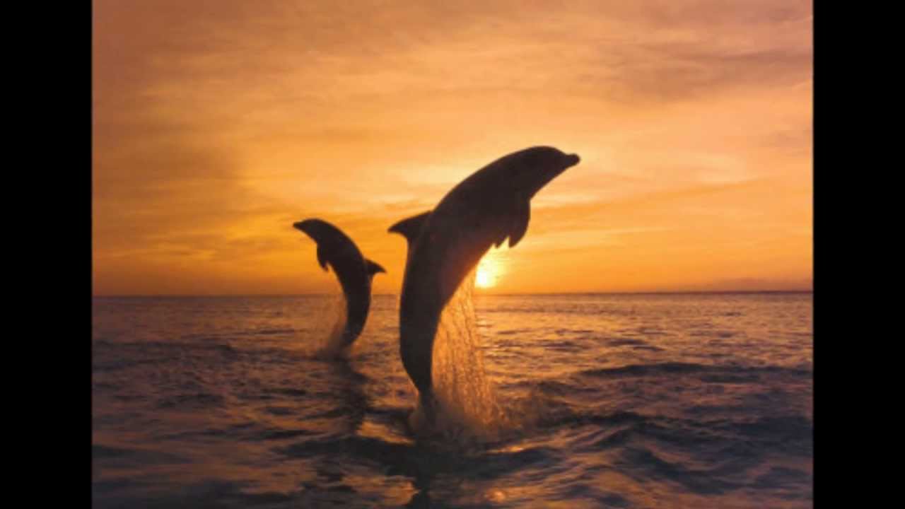 Crosby Stills & Nash - Southern Cross (Remastered/lyrics in Description)
