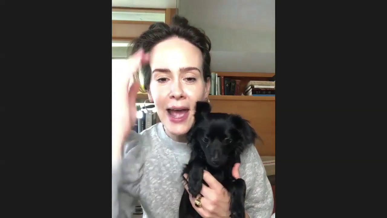 Sarah Paulson Interview ElleVet Sciences Pets In Need Project