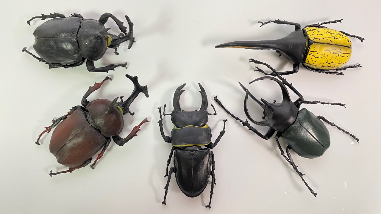 2022 昆虫ハンター カブトムシ×クワガタ 全5種 開封 Beetle ＆ Stag beetle Hunter Super real figure F-TOYS 食玩 candy toys