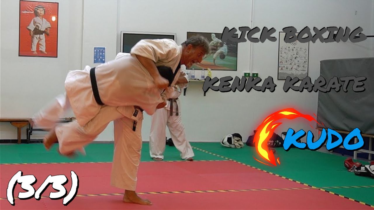 kick boxing, kenka karate, KUDO (3/3)