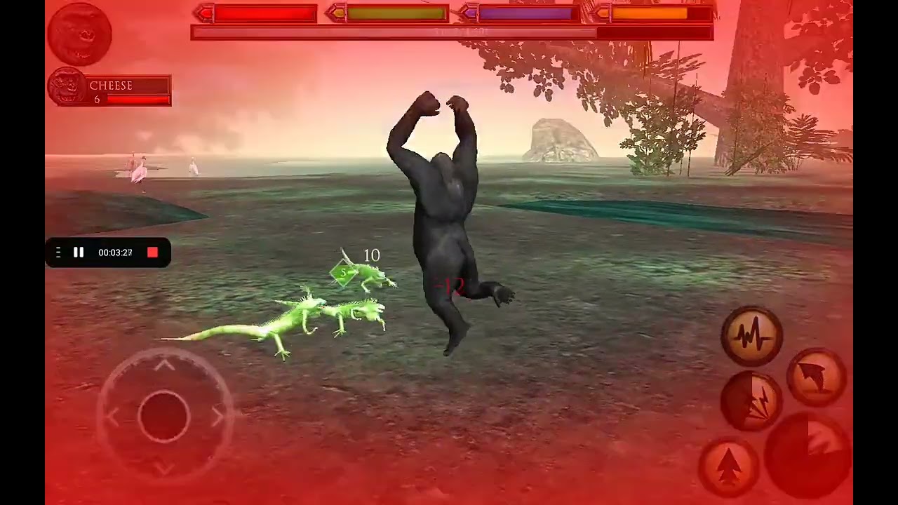 Gorilla the monkey king 👑