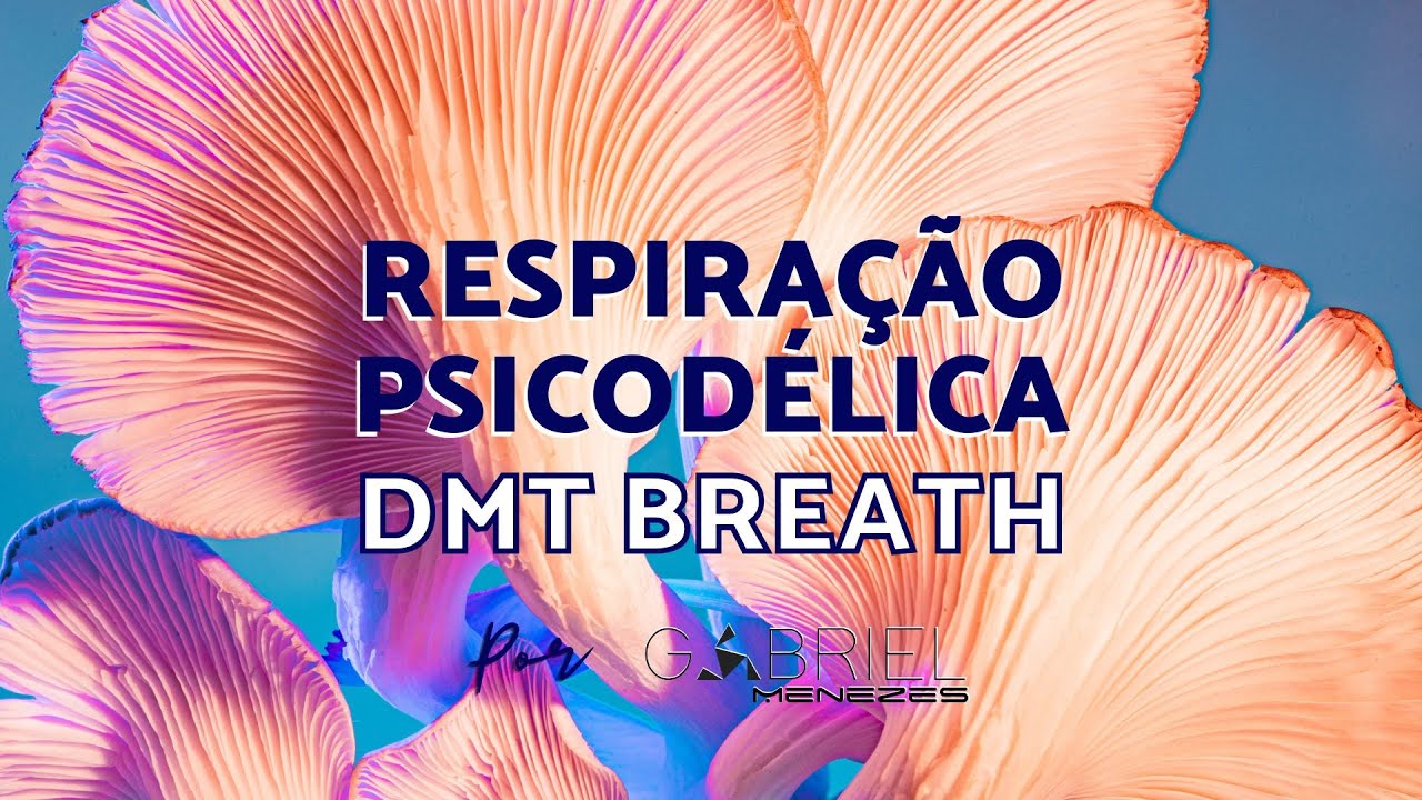 Respira&ccedil;&atilde;o Psicod&eacute;lica l DMT Breathworks (3 Ciclos Guiados)
