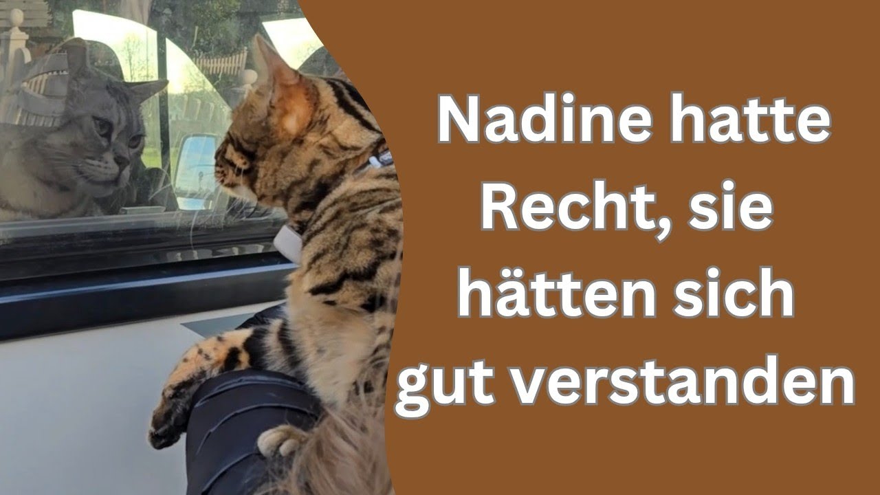 Cosmo und Bali haben sich kennengelernt