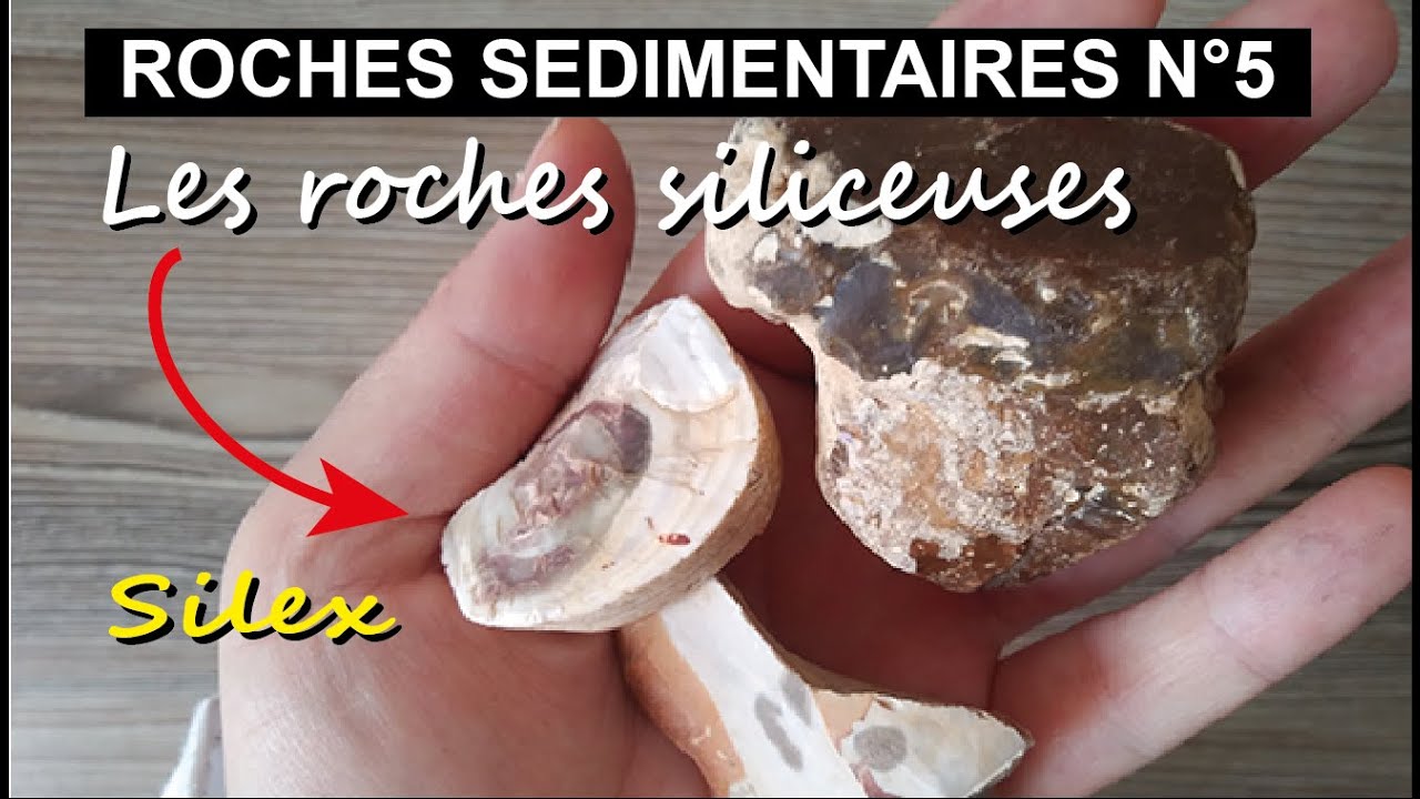 ROCHES SILICEUSES : Diatomite, silex... (par Mme Ruault-Djerrab)