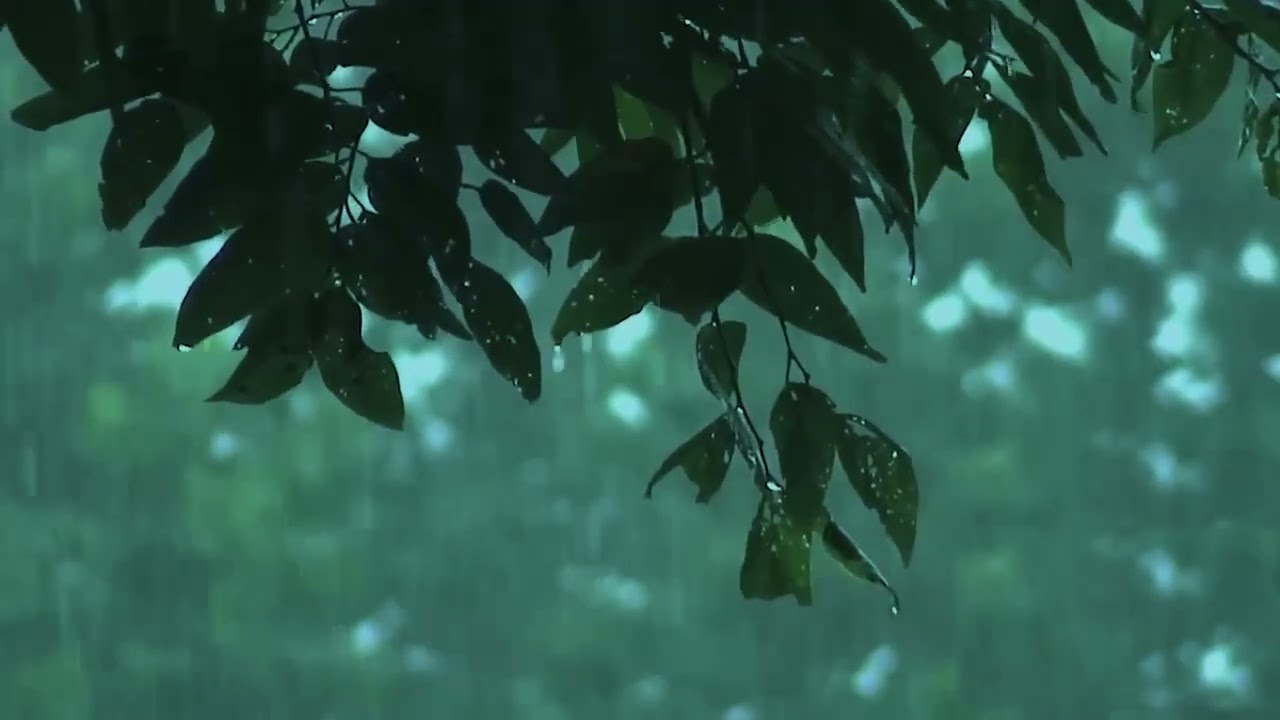 RAIN MEDITATION | 10 Hours | Sleep Aid | Anxiety Relief | Calming Background Ambience