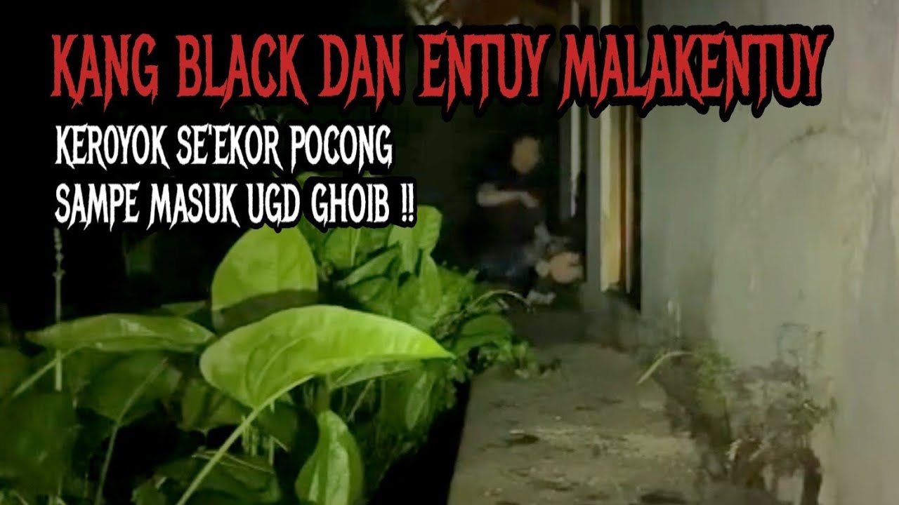 EPIK MOMEN ‼️ ENTUY MALAKENTUY GELUT SAMA SE'EKOR POCONG ‼️