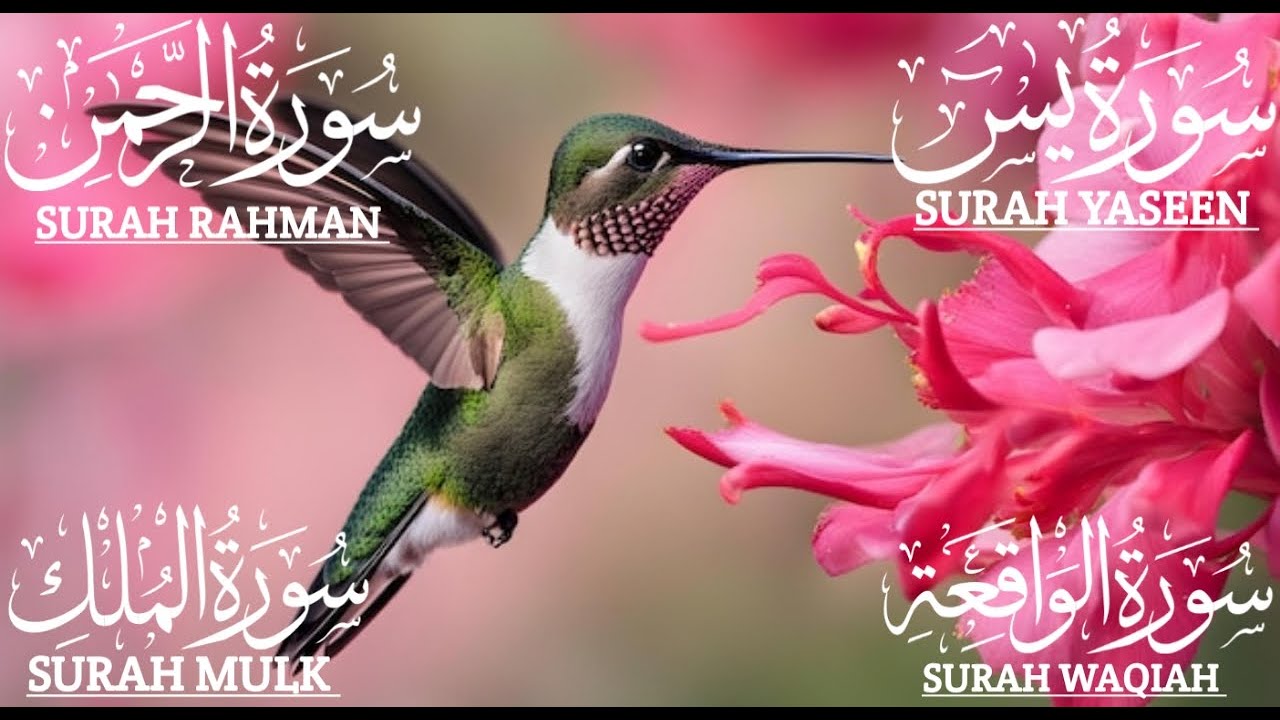 Find Your Calm: Peaceful Quran Recitation for Daily Reflectionيس❤️الواقعة❤️الرحمن❤️الملك #quranic