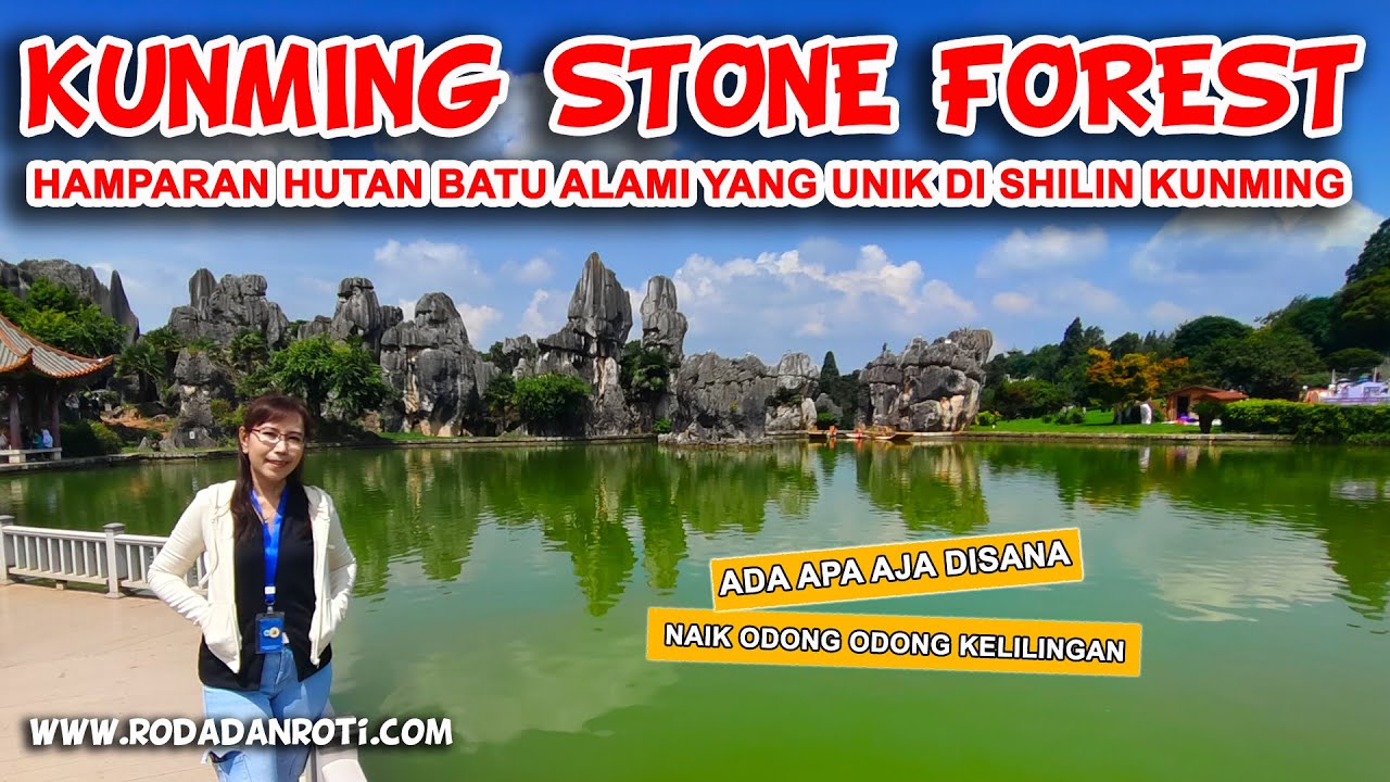 STONE FOREST KUNMING CHINA TRAVEL VLOG