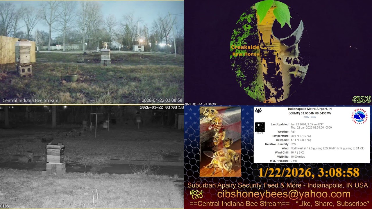 LIVE Back Yard Cam - Weather - Bee Hives - Security Feed - Indianapolis, IN USA