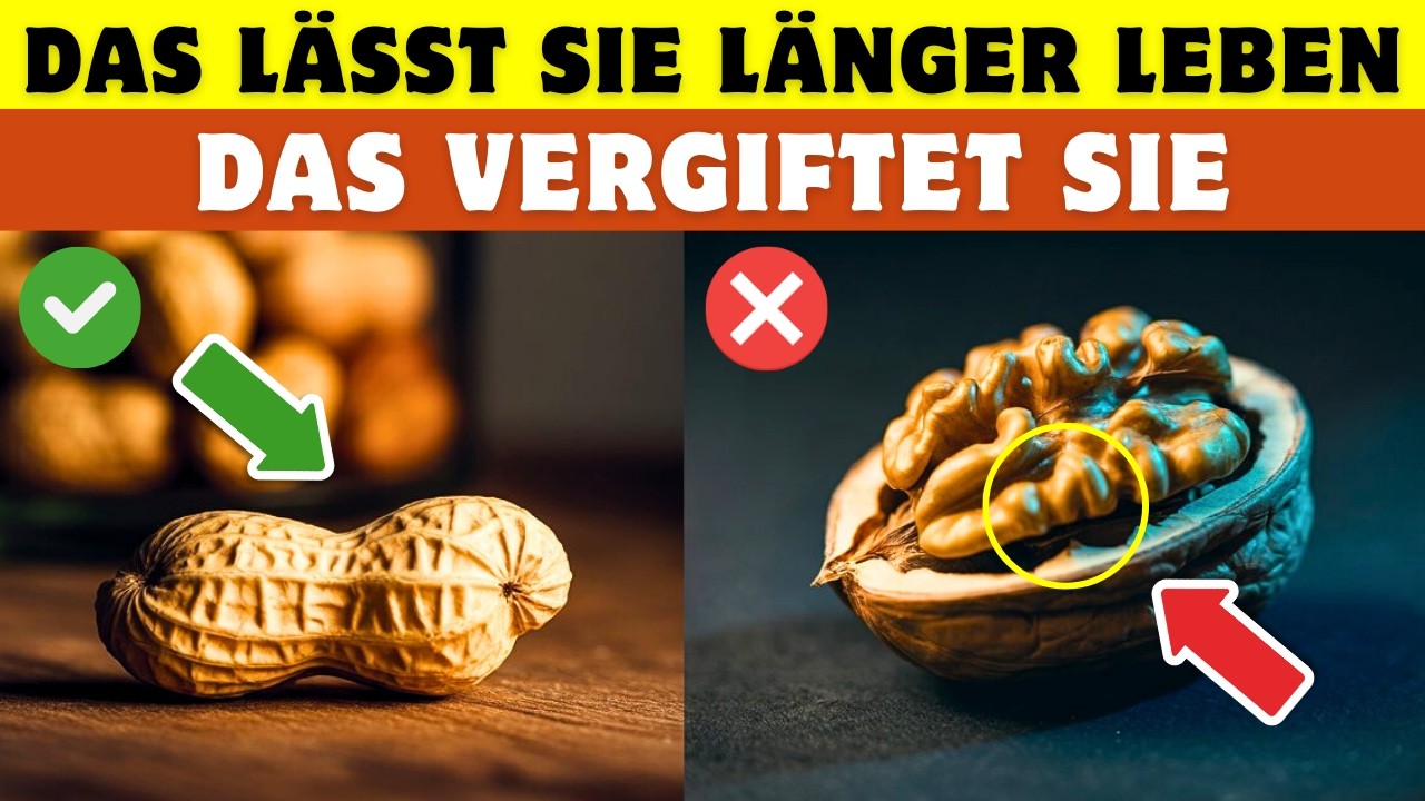 Über 65? Diese 4 Nüsse sollten Sie ESSEN – und diese 4 NIEMALS anfassen!